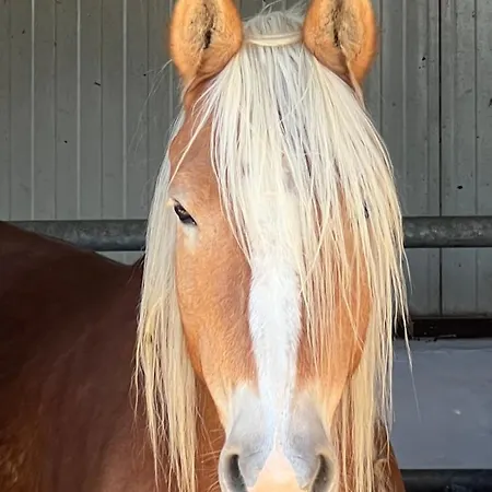 Giagias Family Farm * Kranidi