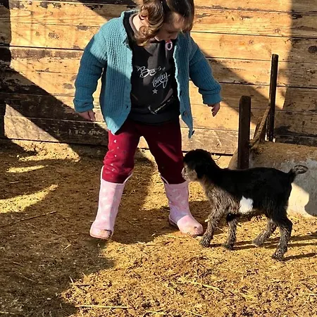 Giagias Family Farm Kranidi