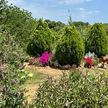 Gospodarstwo agroturystyczne Giagias Family Farm Kranidi